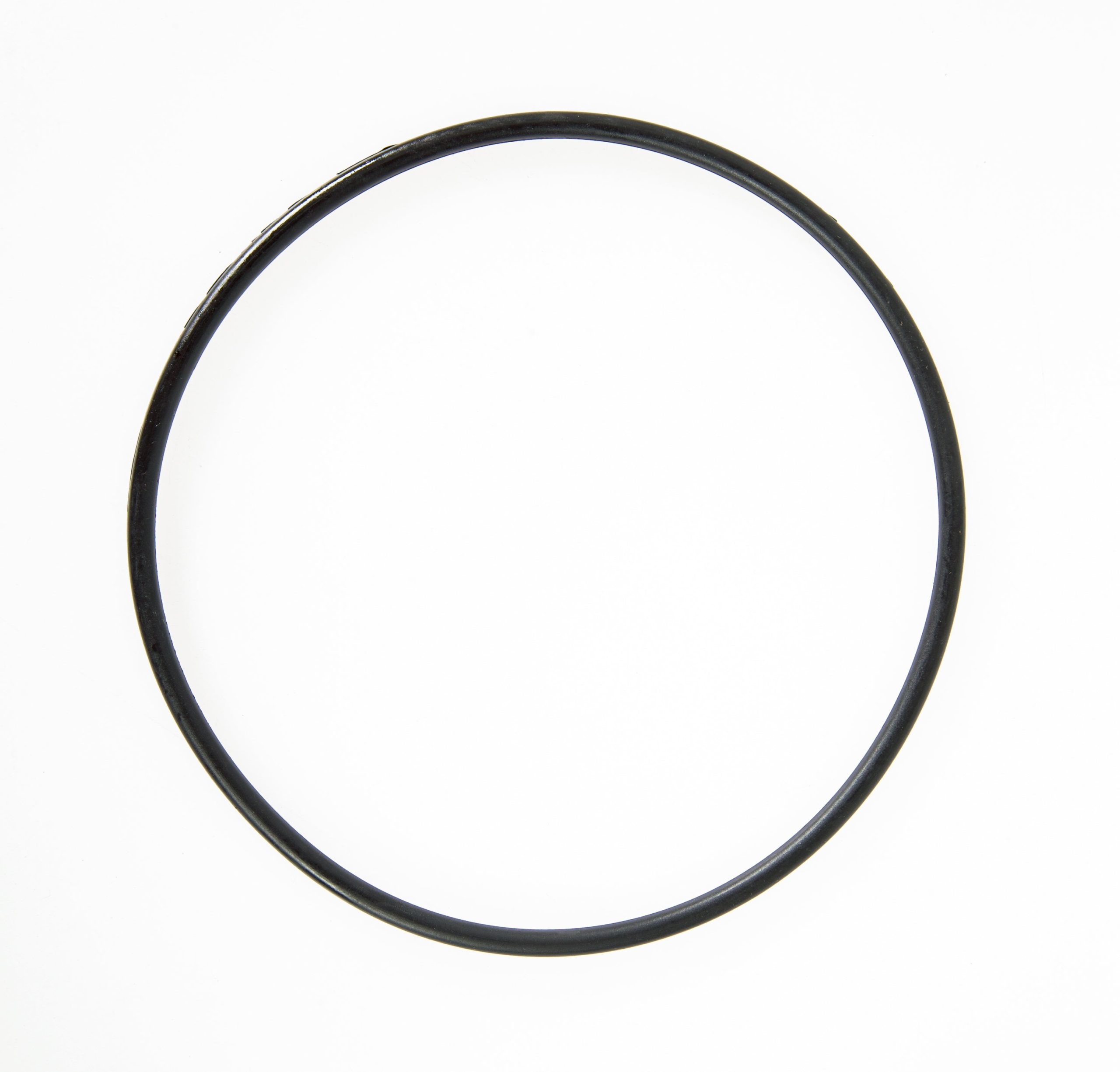 Above Ground Pool Filter Cap Seal Replacement for 2.500 gal. Pump